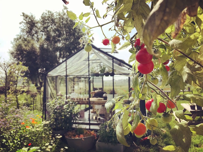 Beauhème Dentergem - Wellness Retreat in Dentergem