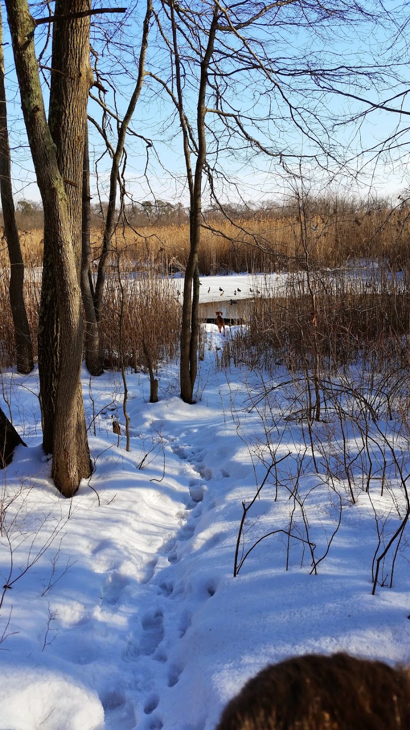 Beauty Garden Ronkonkoma - Day Spa in Ronkonkoma
