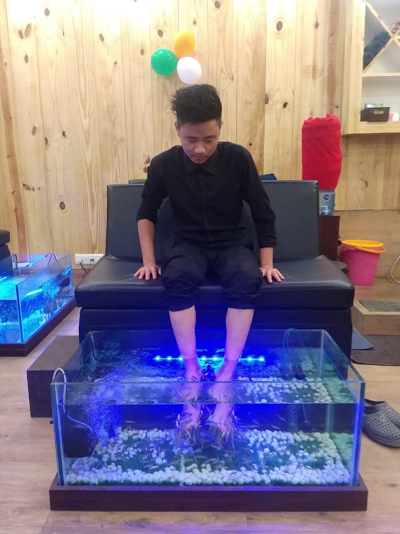 Bennis Fish Spa Barasat-I Sub-District - Day Spa in Barasat-I Sub-District