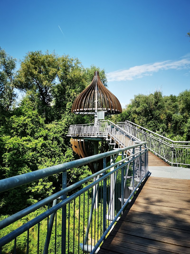 Bényei Máté gyógymasszőr Érd - Day Spa in Érd