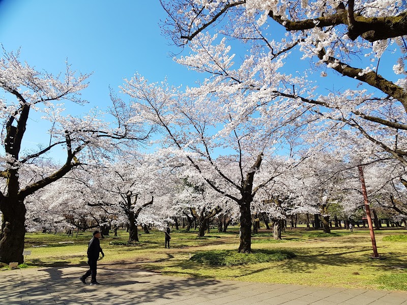 Bereza di Noche Koganei City - Day Spa in Koganei City