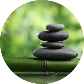 Berry Spa @ Hotel The Orchid Shimla - Hotel Spa in Shimla