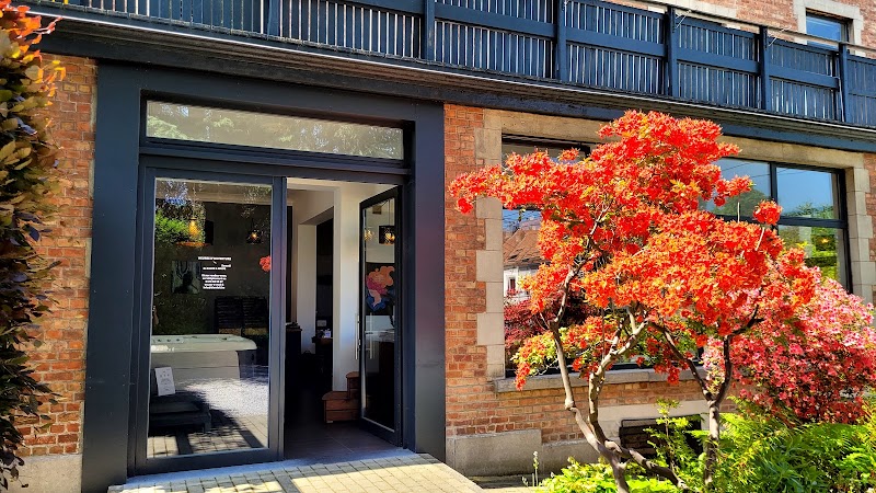 Bienfait Wellness & Spa La Hulpe - Wellness Retreat in La Hulpe