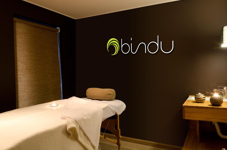 Bindu Spa Vitacura - Wellness Retreat in Vitacura