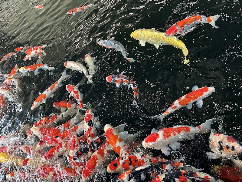 Binshou Ojiya City - Day Spa in Ojiya City