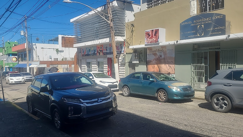 Blessed Hands by Jacky Mayagüez