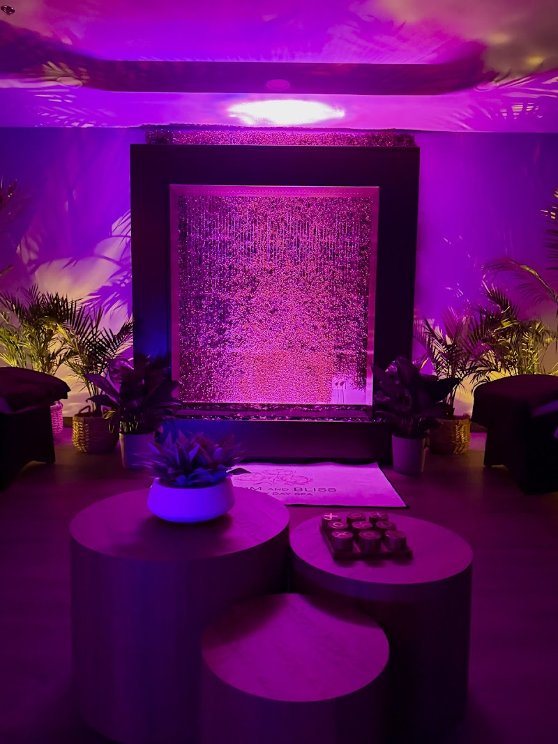 Bloom and Bliss Luxury Day Spa Gallatin - Day Spa in Gallatin