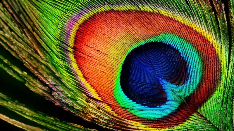 Bodacious Living by Lisa Nanaimo - Day Spa in Nanaimo