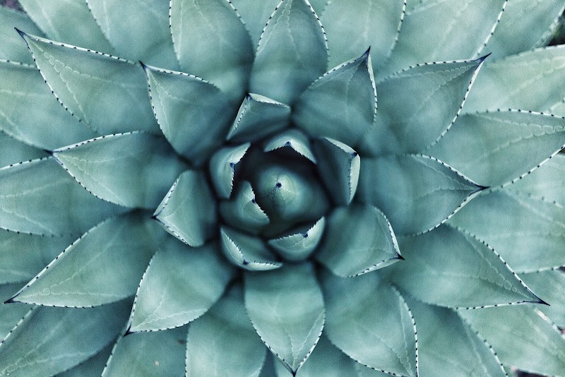 Body Essentials Holistic Spa Lake Havasu City - Day Spa in Lake Havasu City