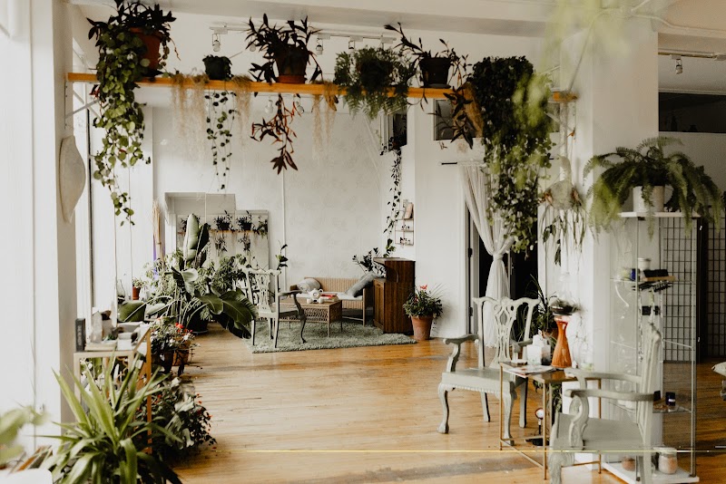 Body of the Earth Wellness & Massage Minneapolis - Wellness Retreat in Minneapolis