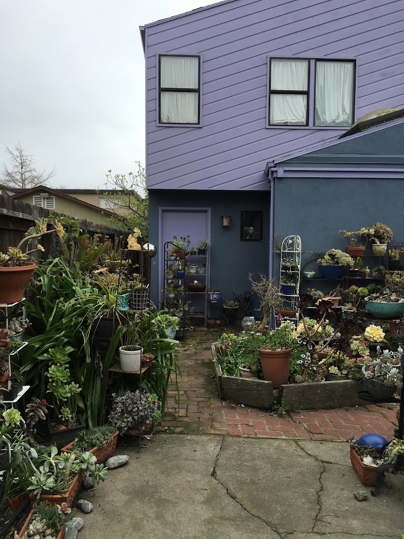 Body Work By Karen Casino Berkeley - Day Spa in Berkeley