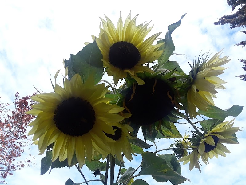 Bodywise Massage University Place - Day Spa in University Place