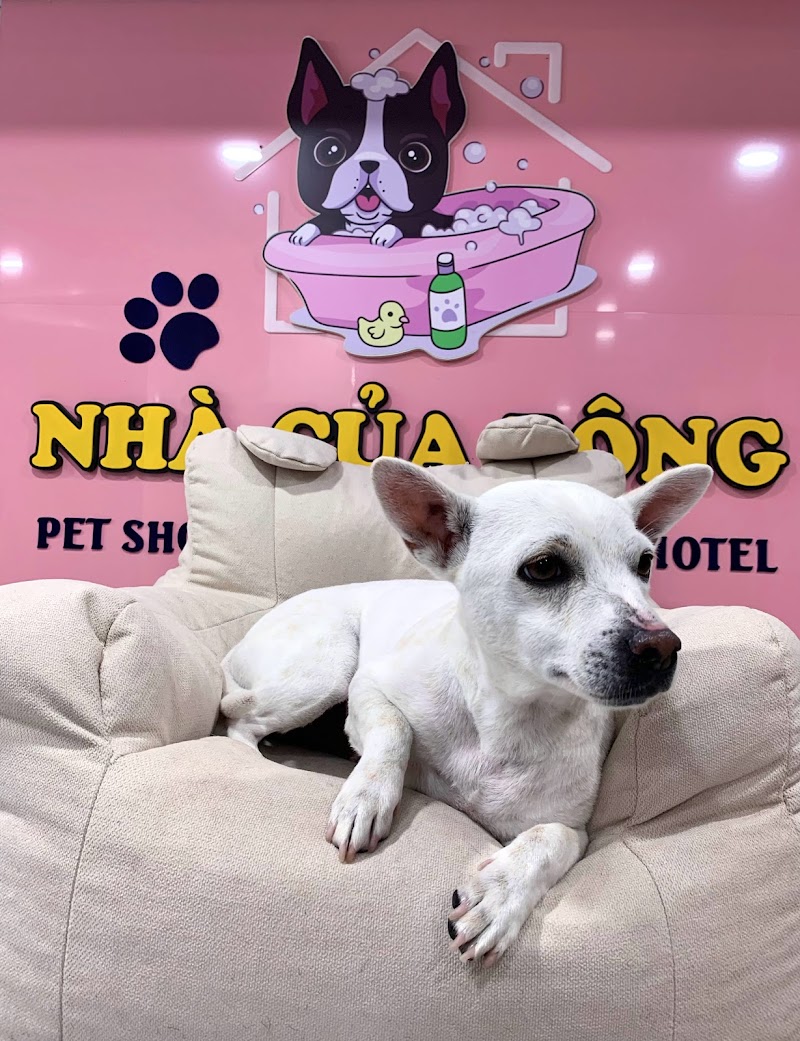 Bông Care Đà Lạt - Wellness Retreat in Đà Lạt