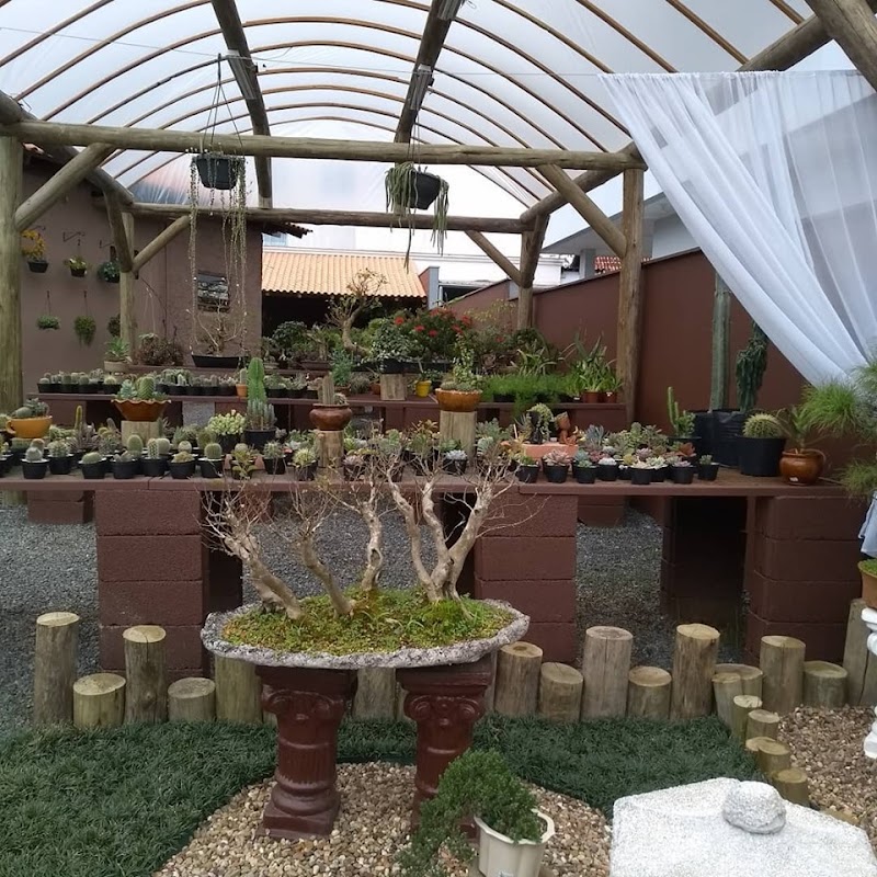 Bonsai Therapy Itaiópolis - Day Spa in Itaiópolis