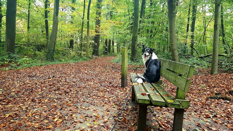 Geraardsbergen bos van boelare - Day Spa in Geraardsbergen