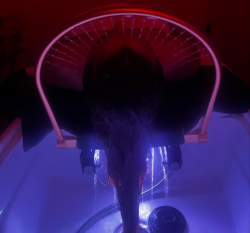 BOTANIC HeadSpa by CrisSerrano Granada