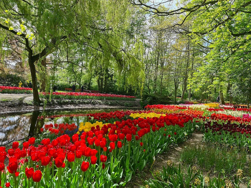 Boutaina Anna Paulowna - Day Spa in Anna Paulowna