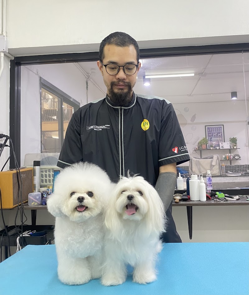 Bubble Pet Spa Poria-Kfar Avoda - Day Spa in Poria-Kfar Avoda