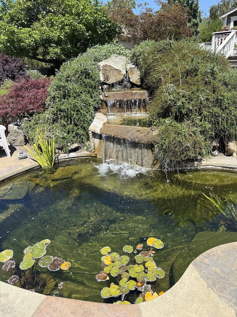 Buck Hollow Massage Sebastopol - Day Spa in Sebastopol