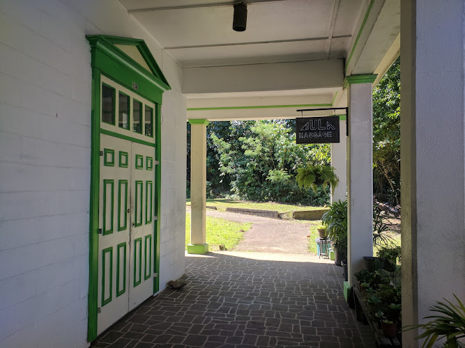 Bula Massage Navua