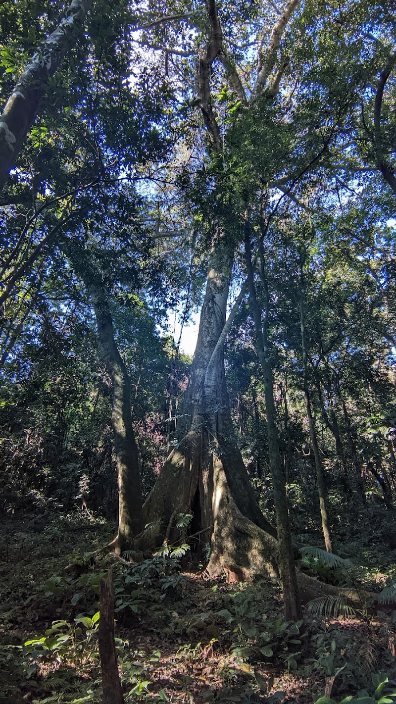 Cabana das Figueiras Rolândia - Wellness Retreat in Rolândia