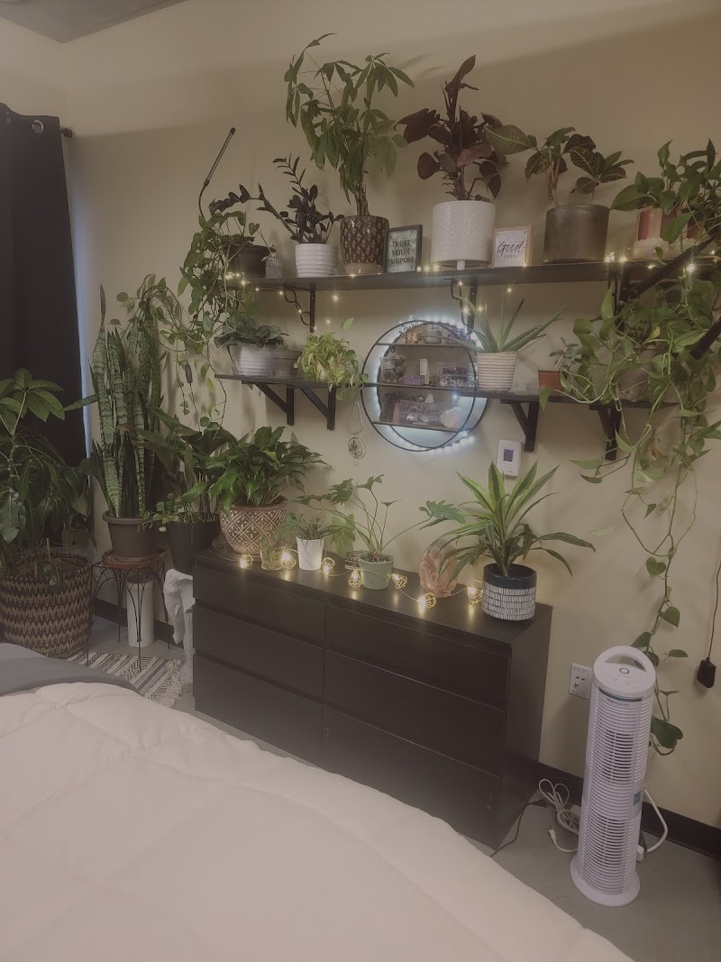 Calmed Soul Seattle - Day Spa in Seattle