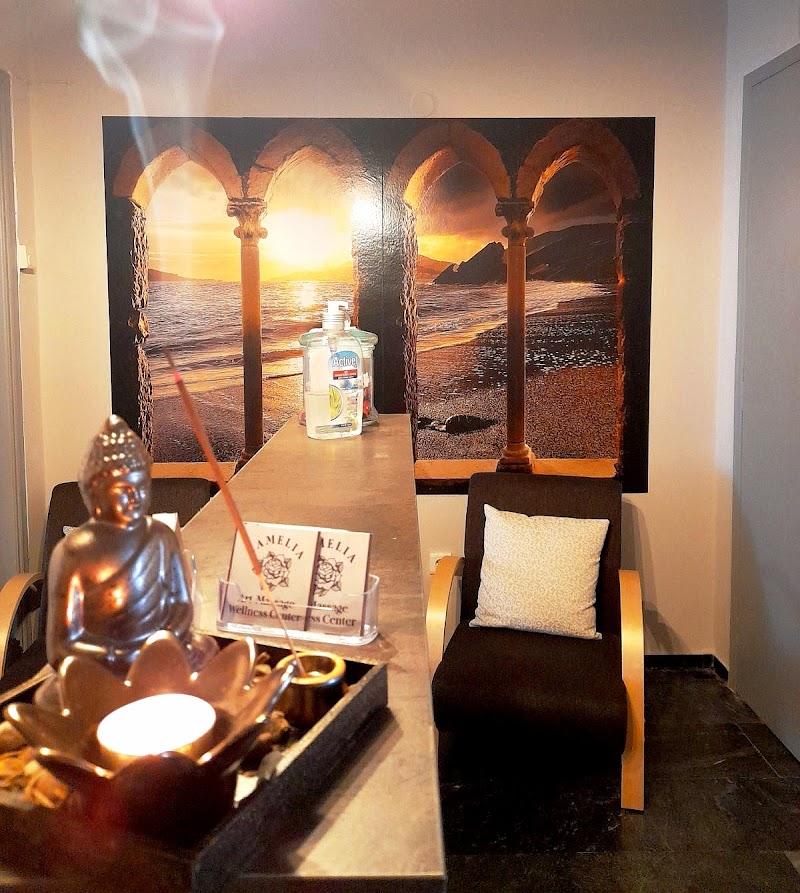 Camelia Art Massage Wellness Center Mytilene - Wellness Retreat in Mytilene