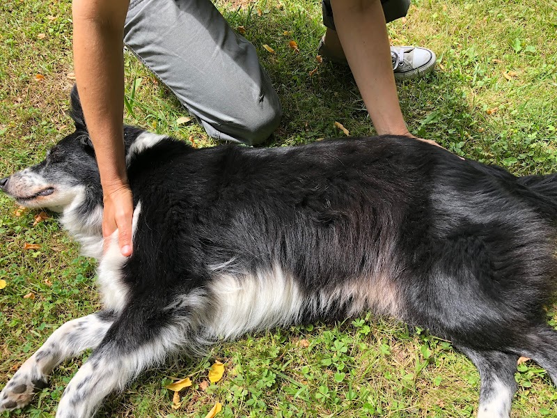 Canis Wellness Marseille - Wellness Retreat in Marseille