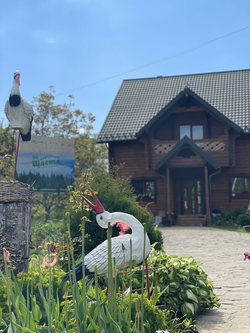 Carpathian Happiness | Chan | Sauna | Pool Verkhovyna Raion - Day Spa in Verkhovyna Raion