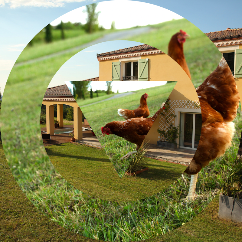 Carpe Diem Tolosa : Chambres d'hôtes et gîte Toulouse - Hotel Spa in Toulouse