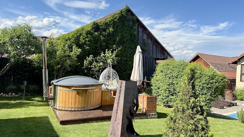 Casa Dives - Transylvania - Resort Spa in Transylvania