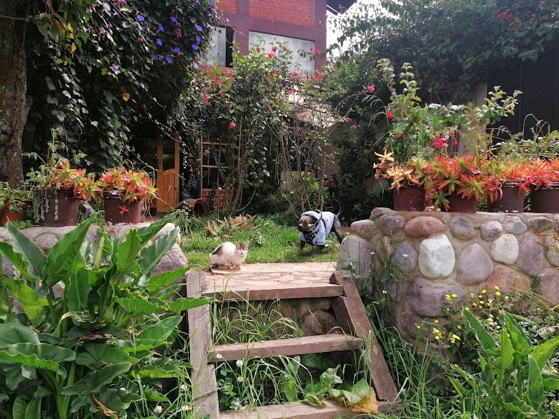 Casa Jazmín Homestay, Sacred Valley, Huayoccari - Day Spa in Sacred Valley