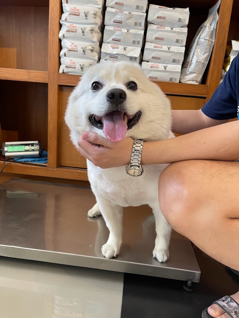 Cat Health Massage Shop Sikhon Phum - Day Spa in Sikhon Phum