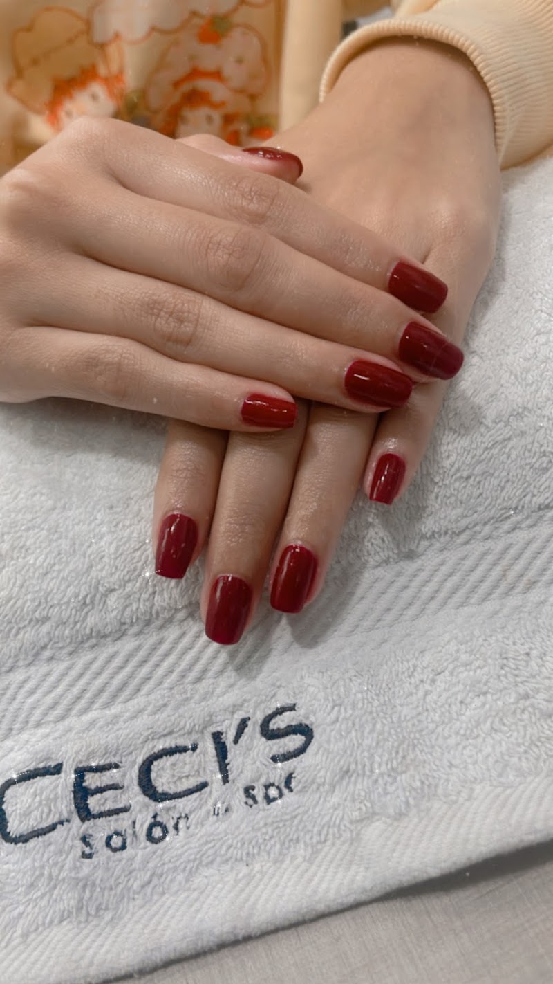 Ceci's Salon Spa La Molina - Day Spa in La Molina