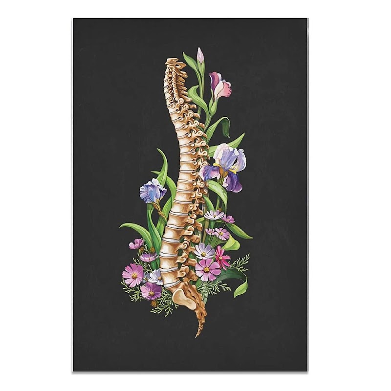 Centro Quiropráctico Salud & Vida San Miguel