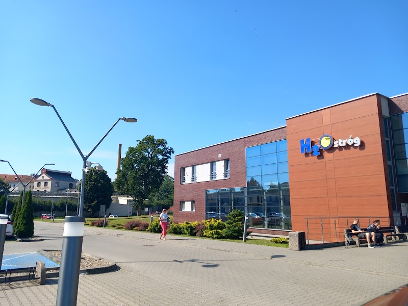 Centrum Fizjoterapii Olaniszyn Racibórz - Day Spa in Racibórz