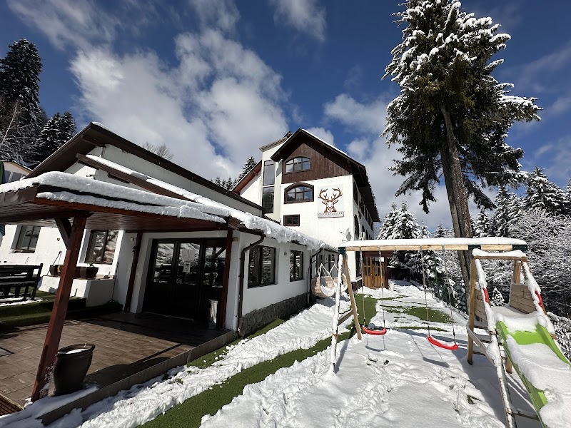 Cerbu Chalet Accommodations and Wellness Transylvania - Hotel Spa in Transylvania