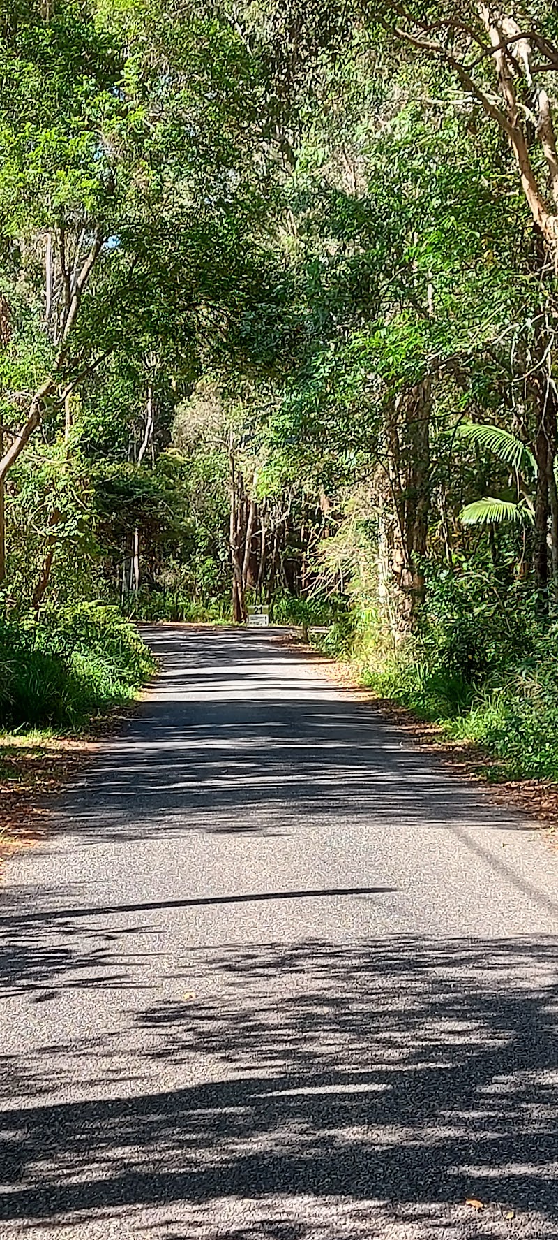 Chevallum Massage  Lymphatic Clinic Palmwoods - Medical Spa in Palmwoods