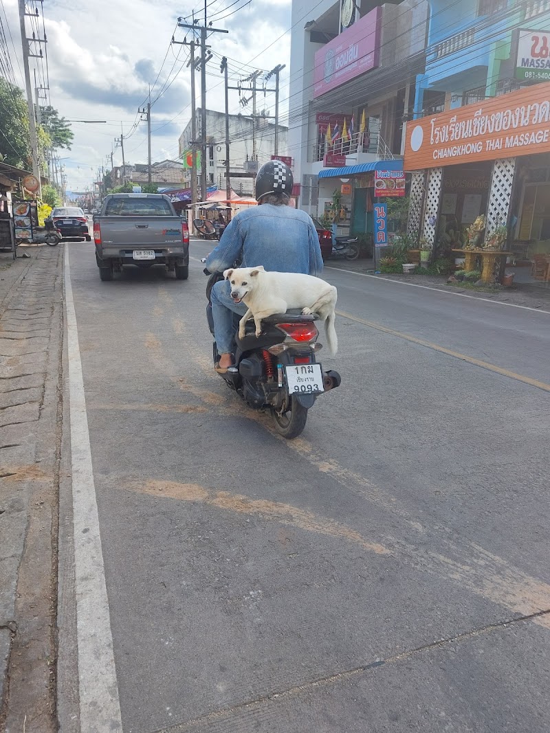 Chiang Khong Thai Traditional Massage School - Day Spa in Chiang Khong