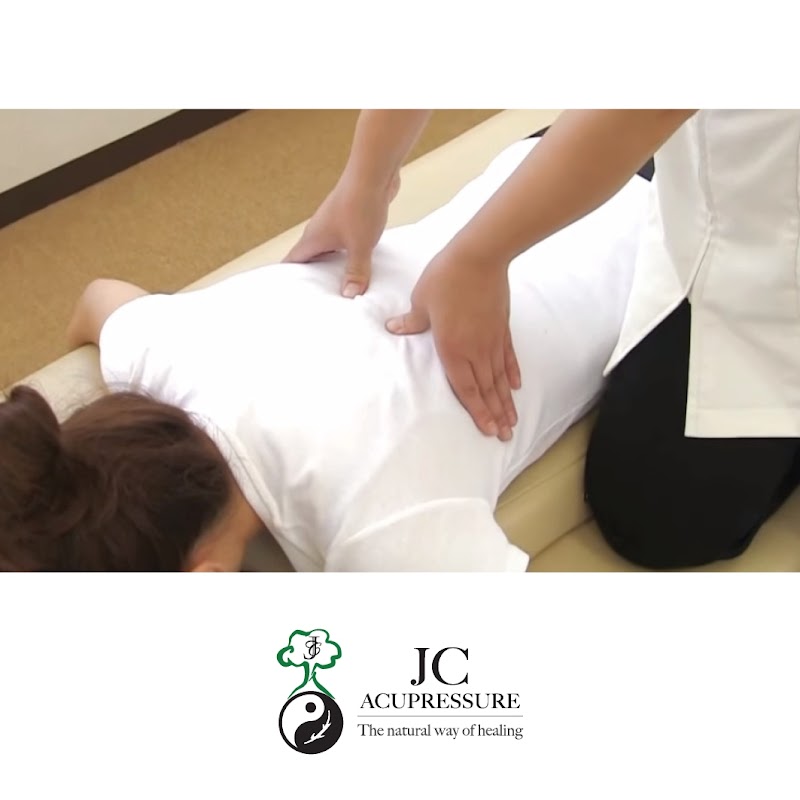 Chinese Massage Acupuncture and Study Course Randburg - Day Spa in Randburg