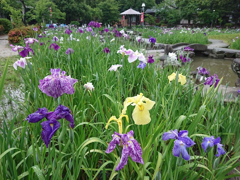 Chiryu Amaterasu no Iyu - Day Spa in Chiryu