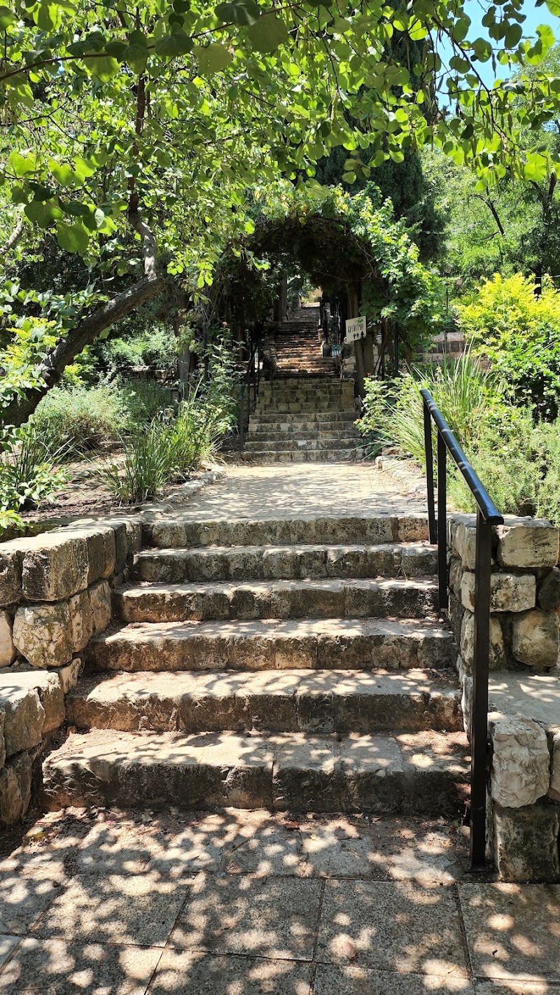 Clean Skin - Shir Hamo Rosh Pina - Day Spa in Rosh Pina