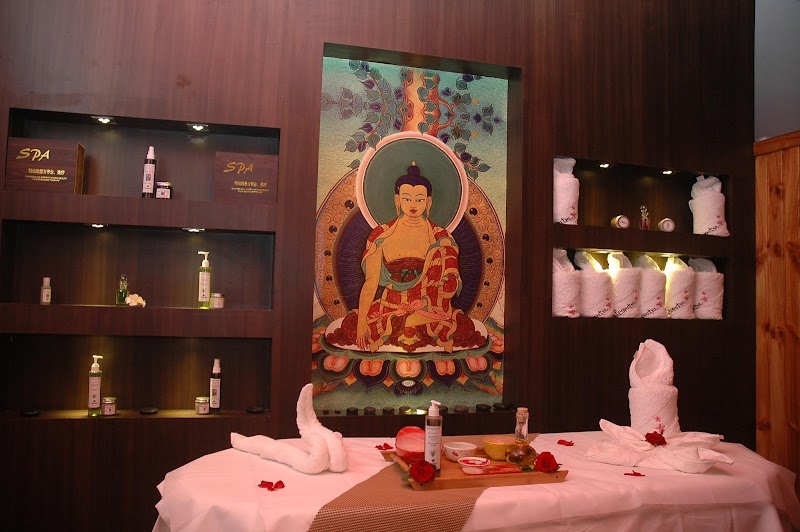 Cleopatra Day Spa Jalandhar - Day Spa in Jalandhar