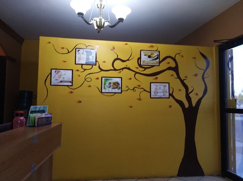 Clínica De Salud Y Belleza - Facial/corporal. Ciudad Obregón - Day Spa in Ciudad Obregón