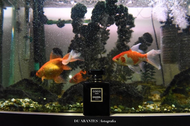 Clínica Estética Shampoo Cerquilho - Wellness Retreat in Cerquilho