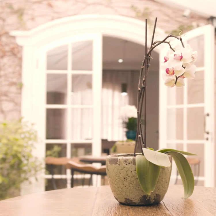 Clínica Vertù Limeira - Day Spa in Limeira