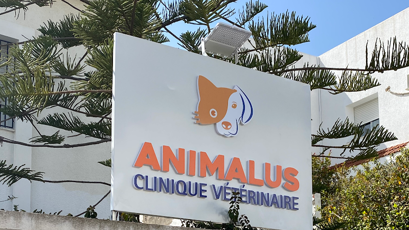 Clinique Vétérinaire AnimaCare Tunis - Day Spa in Tunis