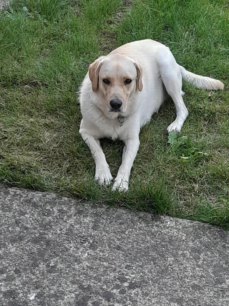 Cnaib Spa 49 Angers - Day Spa in Angers