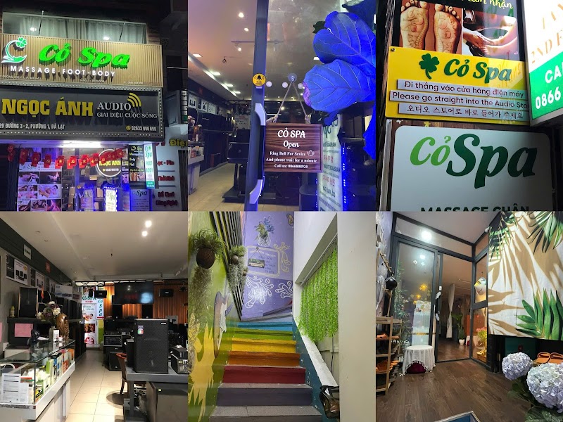 Cỏ Spa Dalat - Day Spa in Dalat