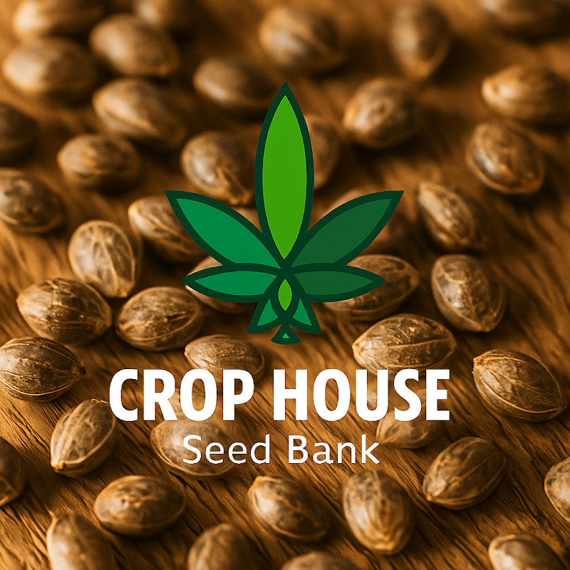 Community Enterprise Safe Plants Herbal Baan Mab Kae - Day Spa in Baan Mab Kae